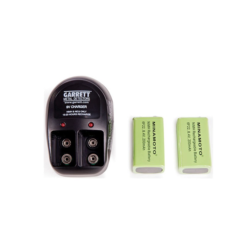 Chargeur de batterie + 2 batteries